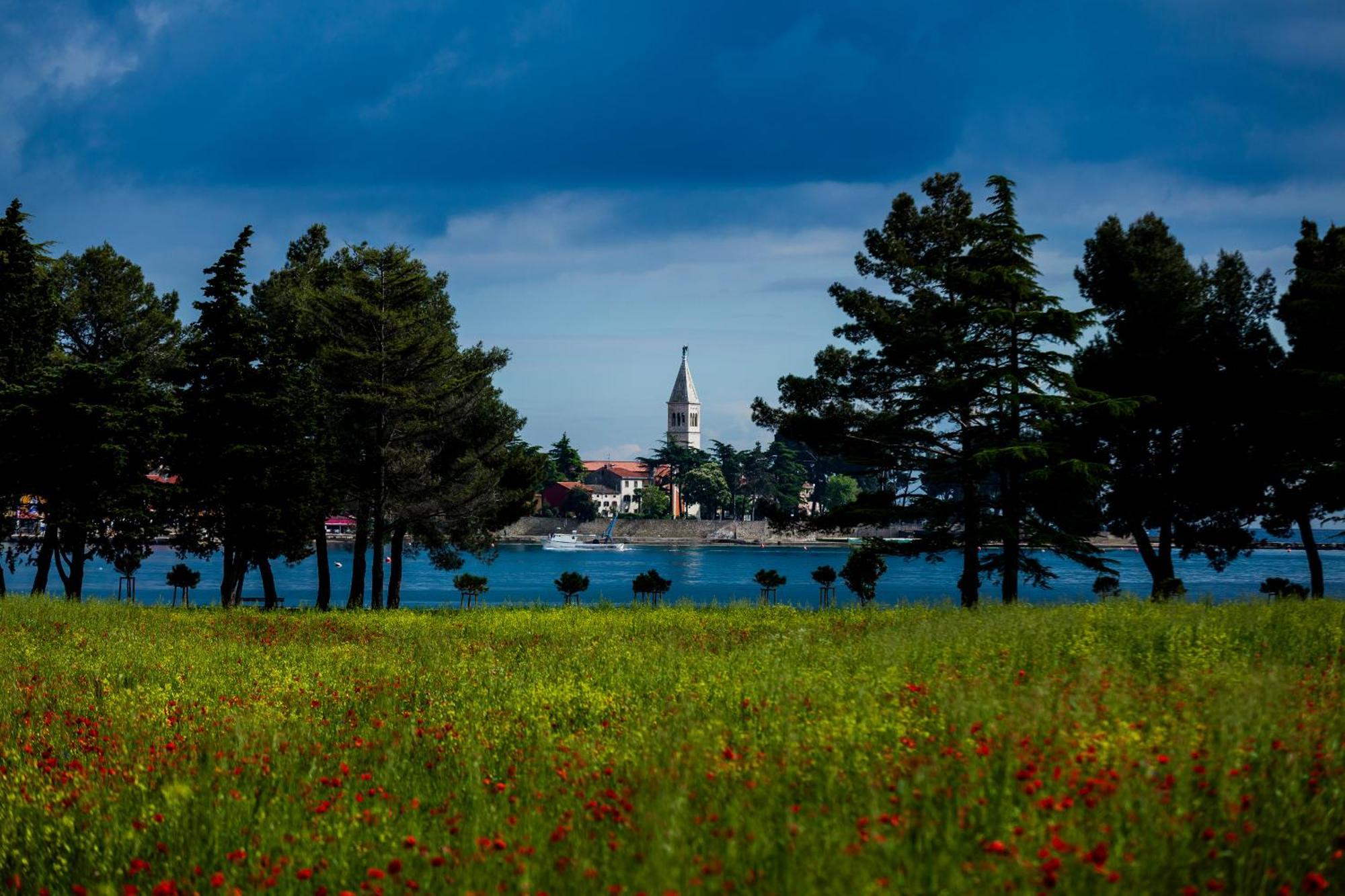 Belvedere Holidays Villas Novigrad Istria المظهر الخارجي الصورة